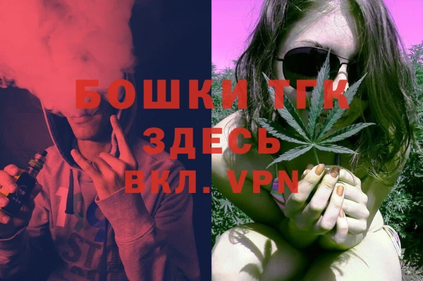 МДПВ Алексеевка