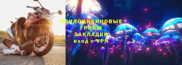 прущие крисы Алзамай