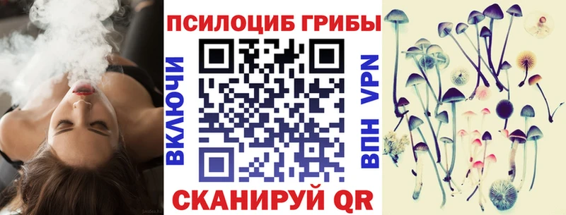 как найти закладки  Ступино  Галлюциногенные грибы GOLDEN TEACHER 